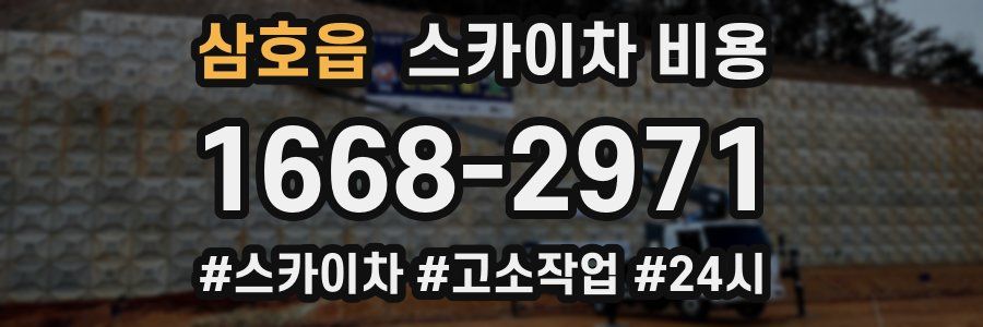 삼호읍 스카이차 비용