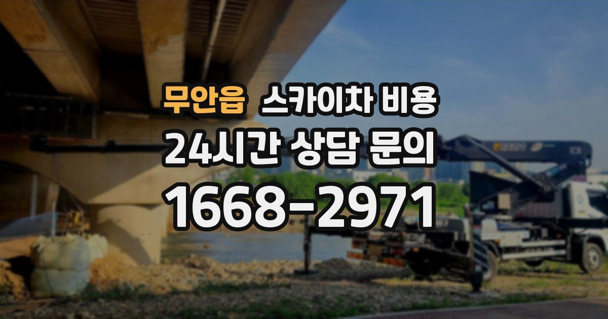 무안읍 스카이차 비용