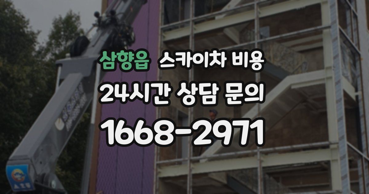 삼향읍 스카이차 비용