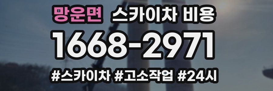 망운면 스카이차 비용