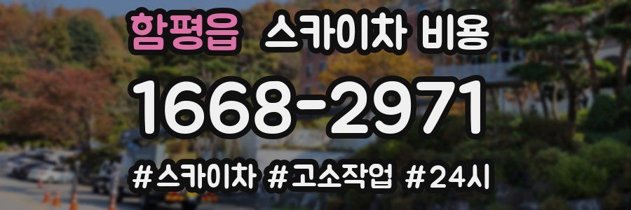 함평읍 스카이차 비용