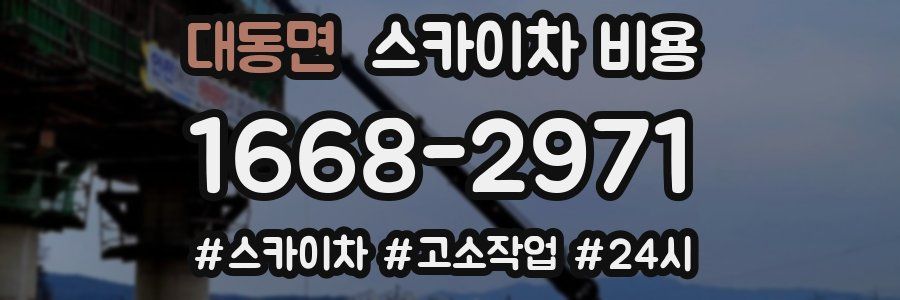 대동면 스카이차 비용