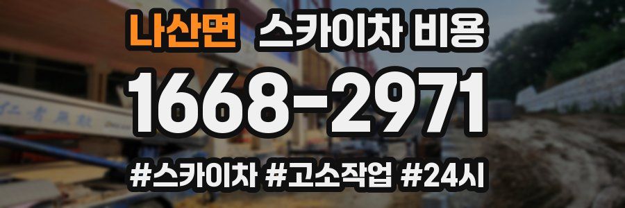 나산면 스카이차 비용