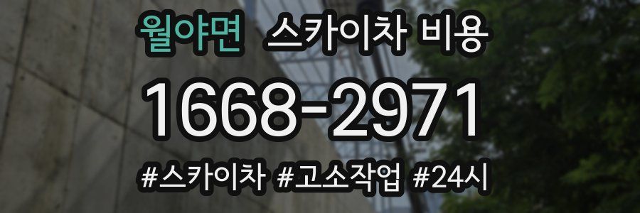 월야면 스카이차 비용