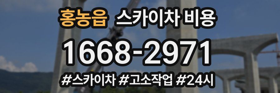 홍농읍 스카이차 비용