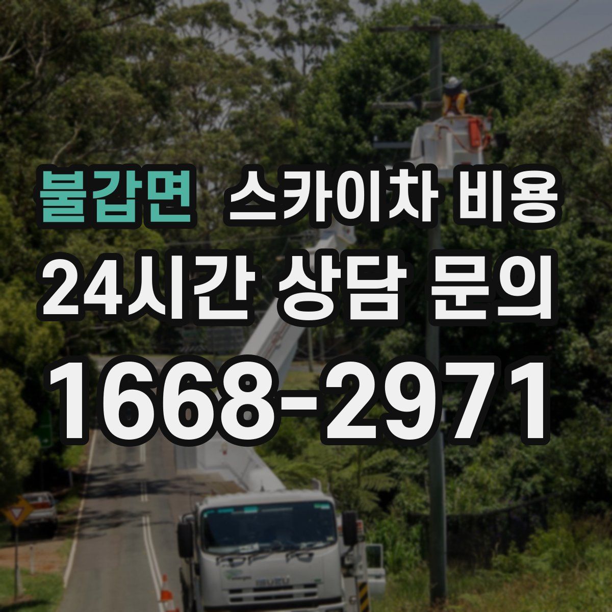 불갑면 스카이차 비용