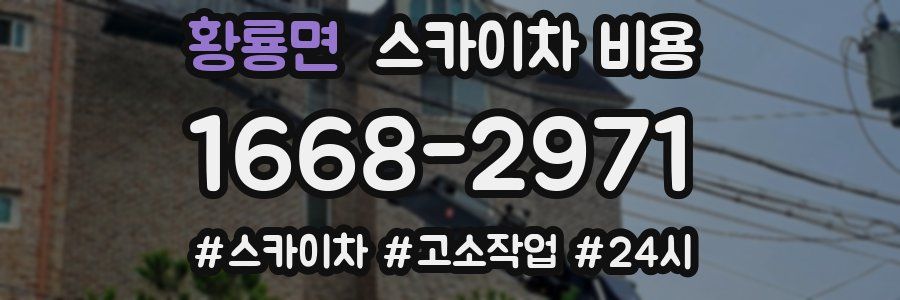 황룡면 스카이차 비용