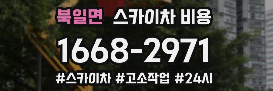 북일면 스카이차 비용