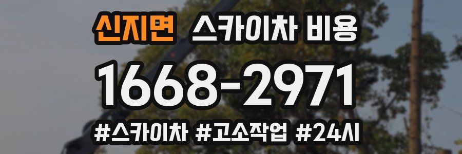 신지면 스카이차 비용