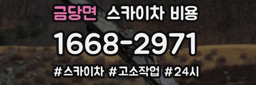 금당면 스카이차 비용