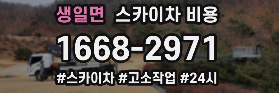 생일면 스카이차 비용