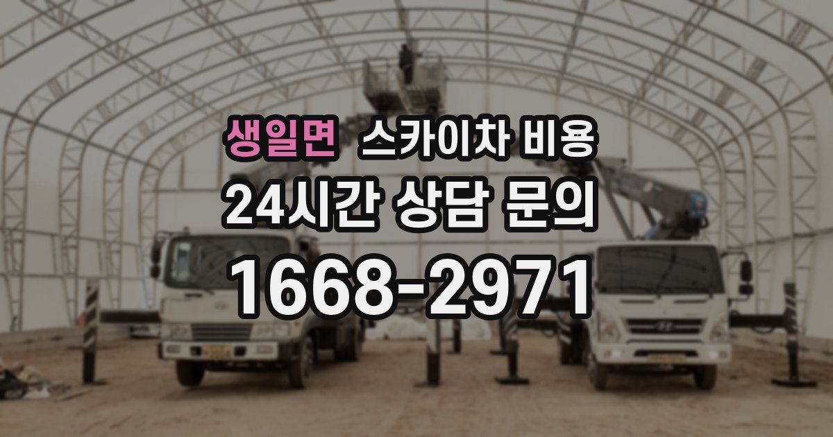 생일면 스카이차 비용