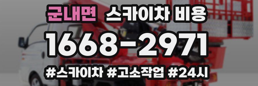 군내면 스카이차 비용