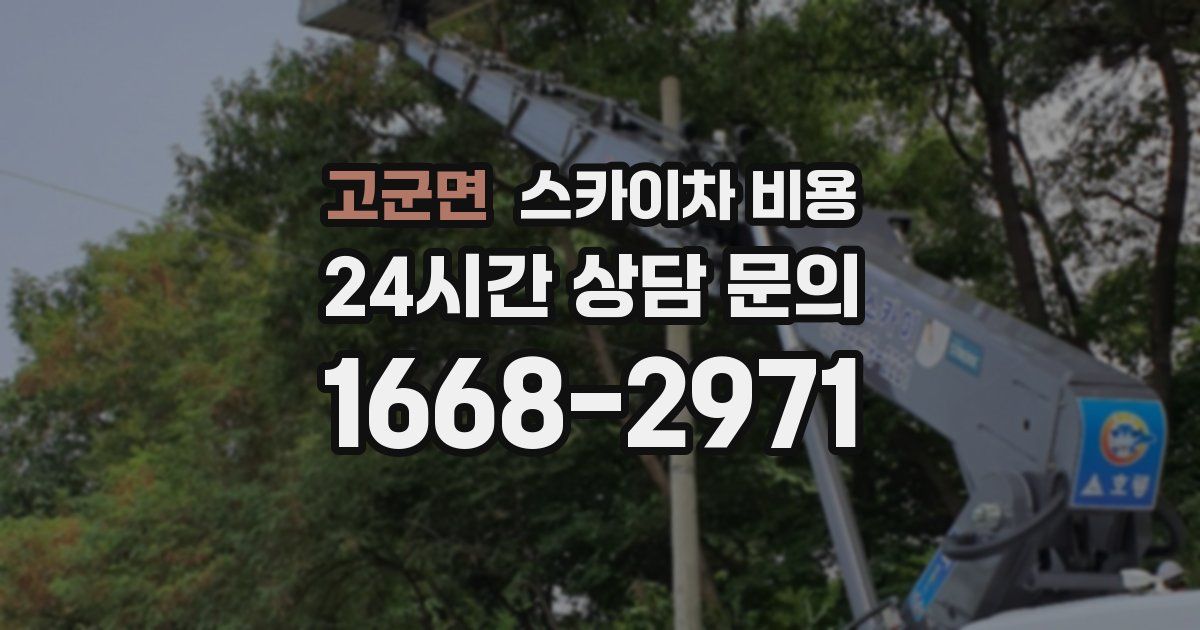 고군면 스카이차 비용