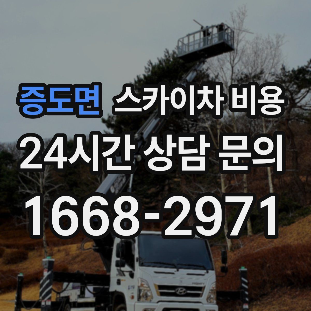 증도면 스카이차 비용