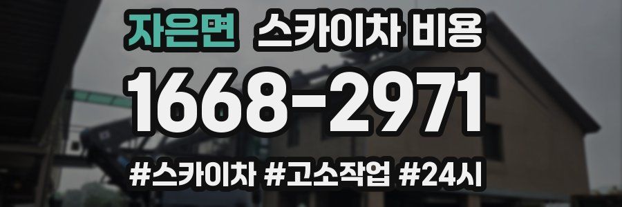 자은면 스카이차 비용