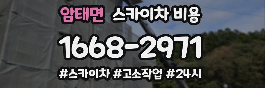 암태면 스카이차 비용