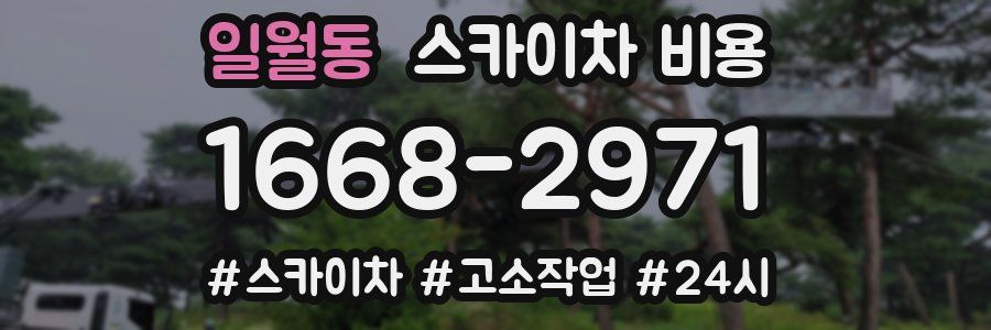 일월동 스카이차 비용