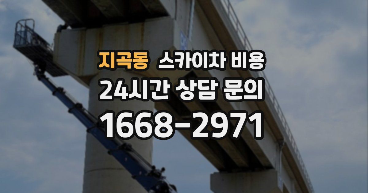 지곡동 스카이차 비용