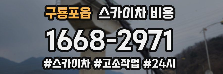 구룡포읍 스카이차 비용