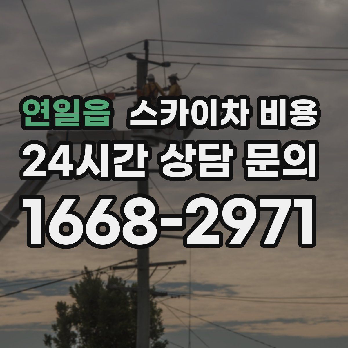 연일읍 스카이차 비용