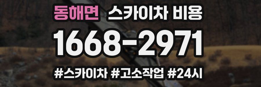 동해면 스카이차 비용