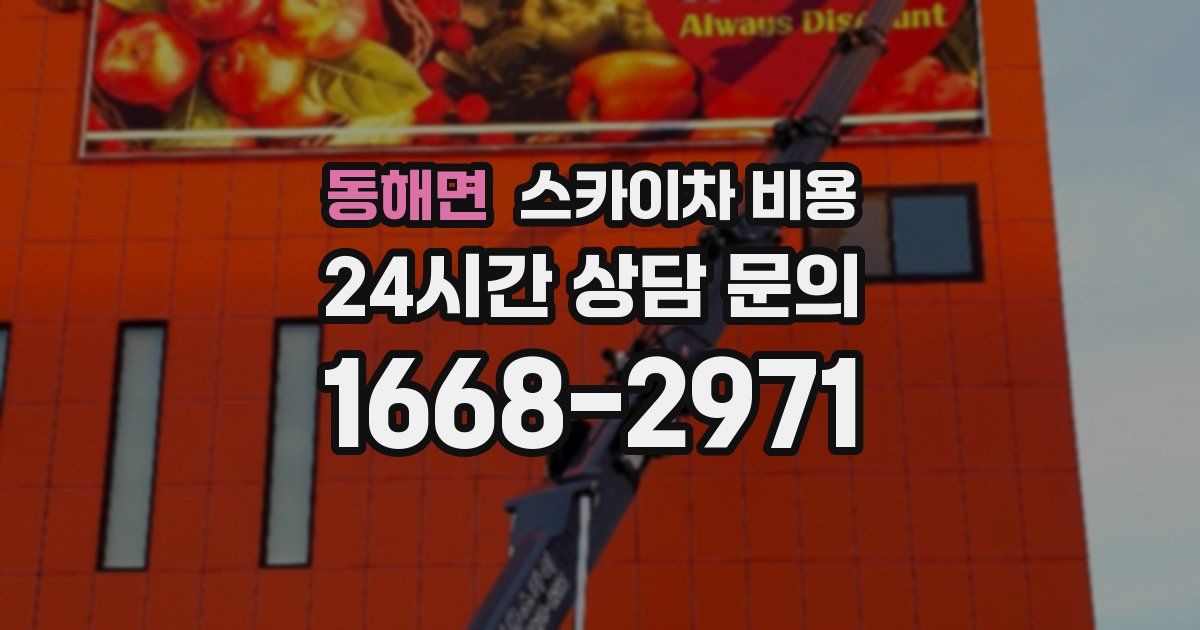 동해면 스카이차 비용