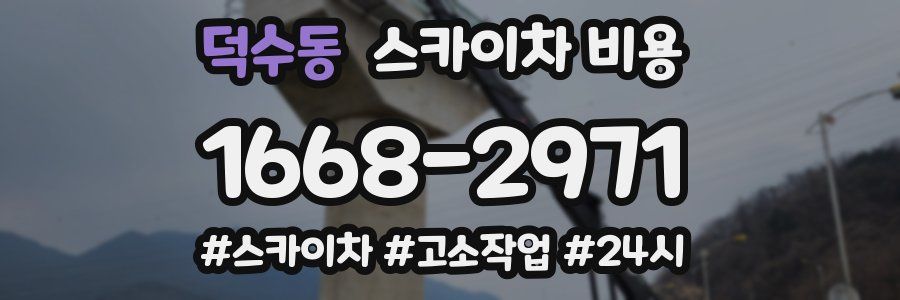 덕수동 스카이차 비용