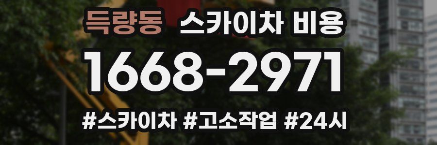 득량동 스카이차 비용