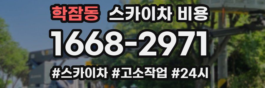 학잠동 스카이차 비용