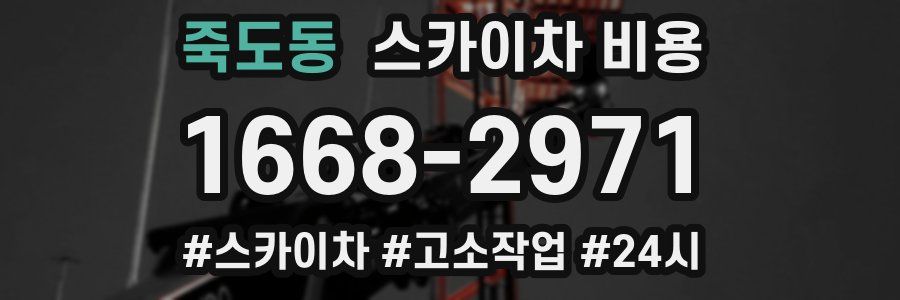 죽도동 스카이차 비용