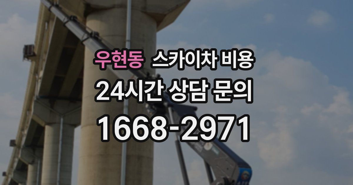 우현동 스카이차 비용