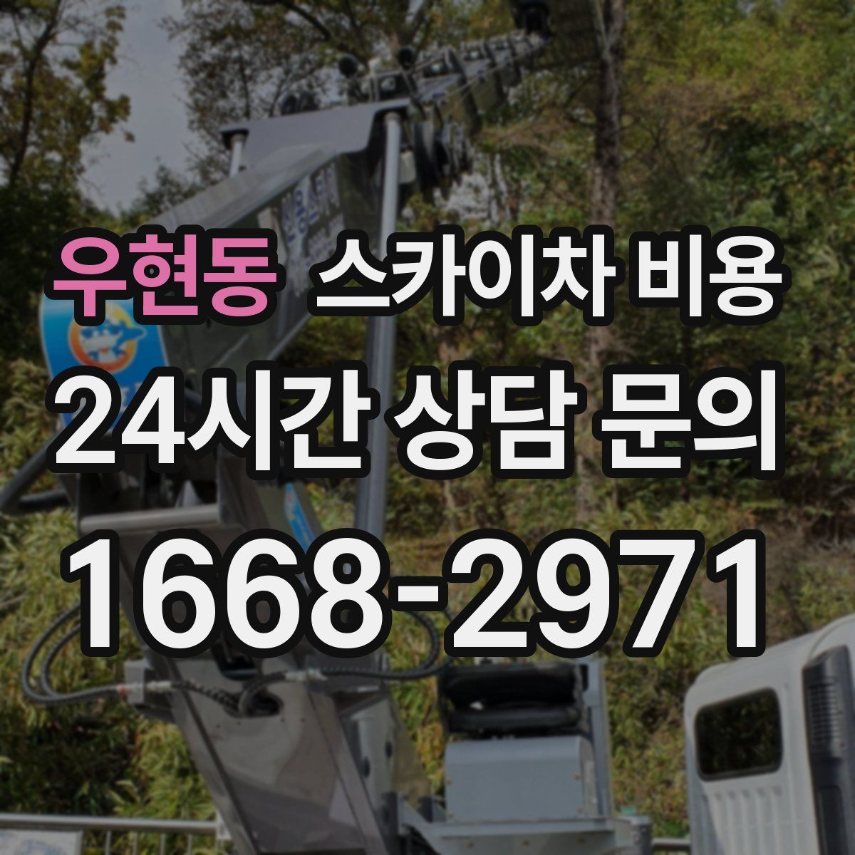 우현동 스카이차 비용