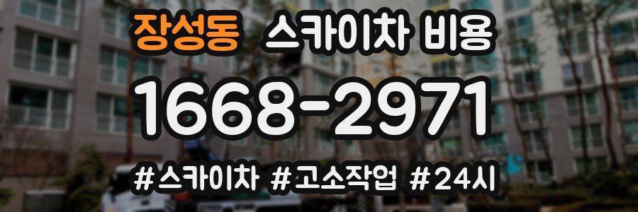 장성동 스카이차 비용