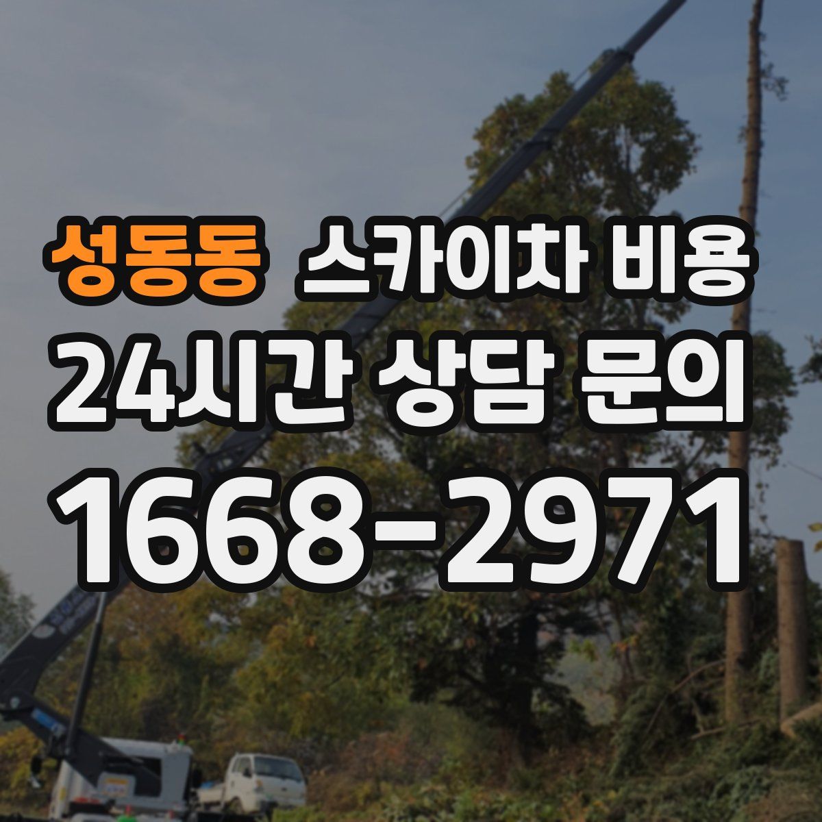 성동동 스카이차 비용