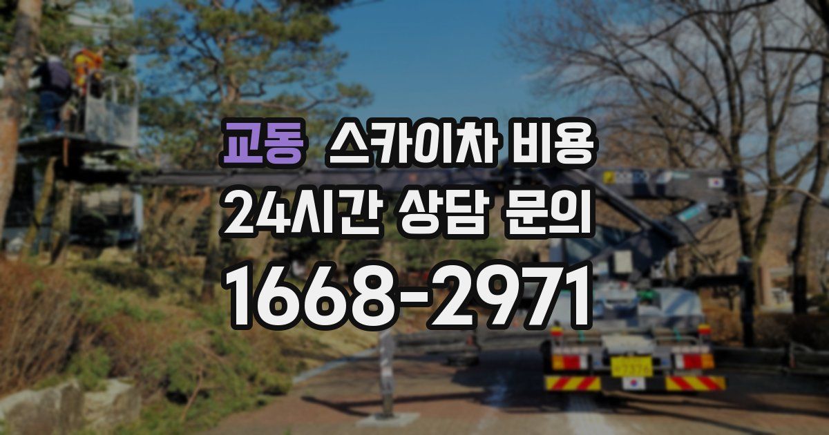 교동 스카이차 비용