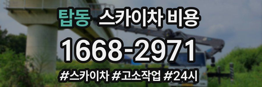 탑동 스카이차 비용