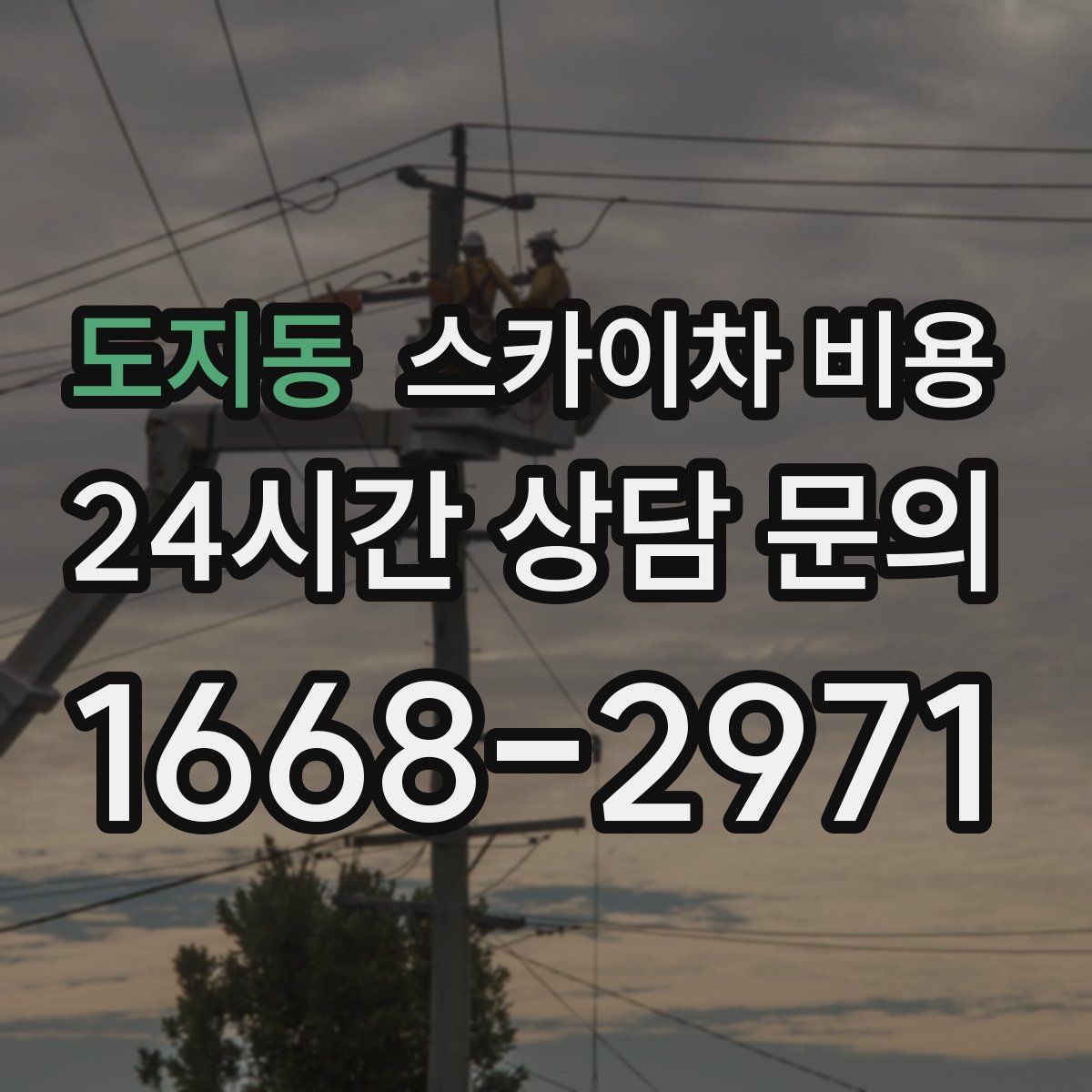 도지동 스카이차 비용