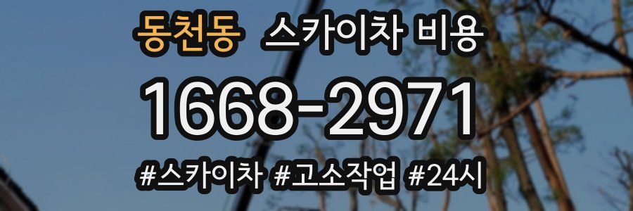 동천동 스카이차 비용