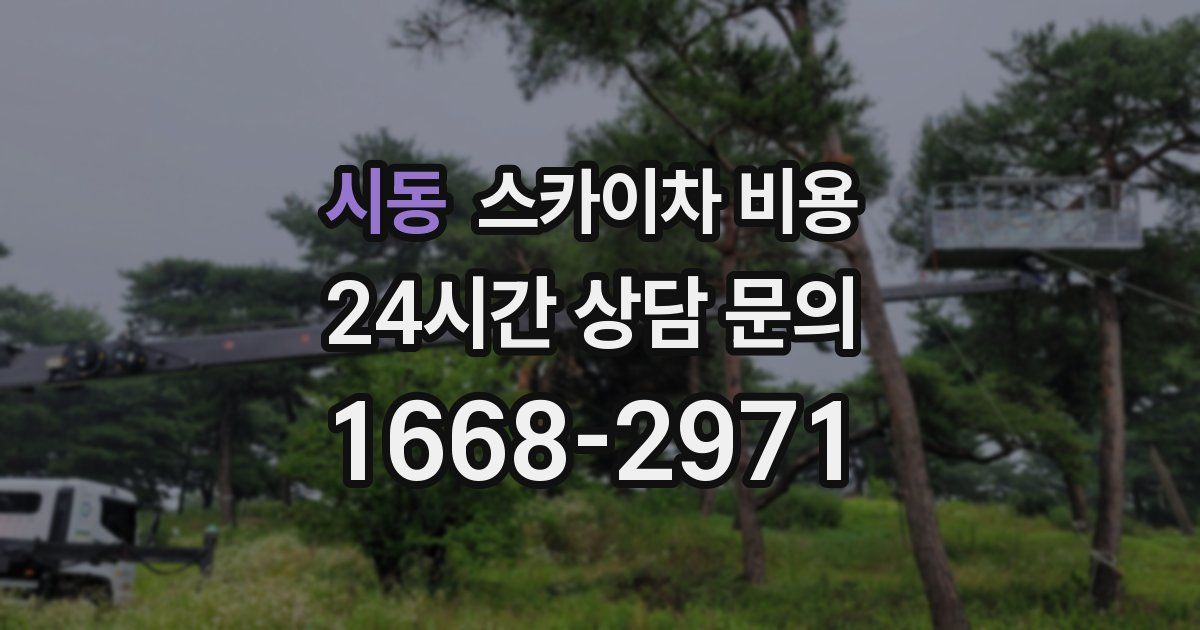 시동 스카이차 비용