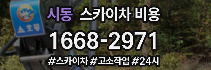 시동 스카이차 비용