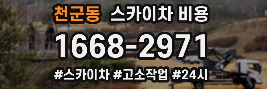 천군동 스카이차 비용