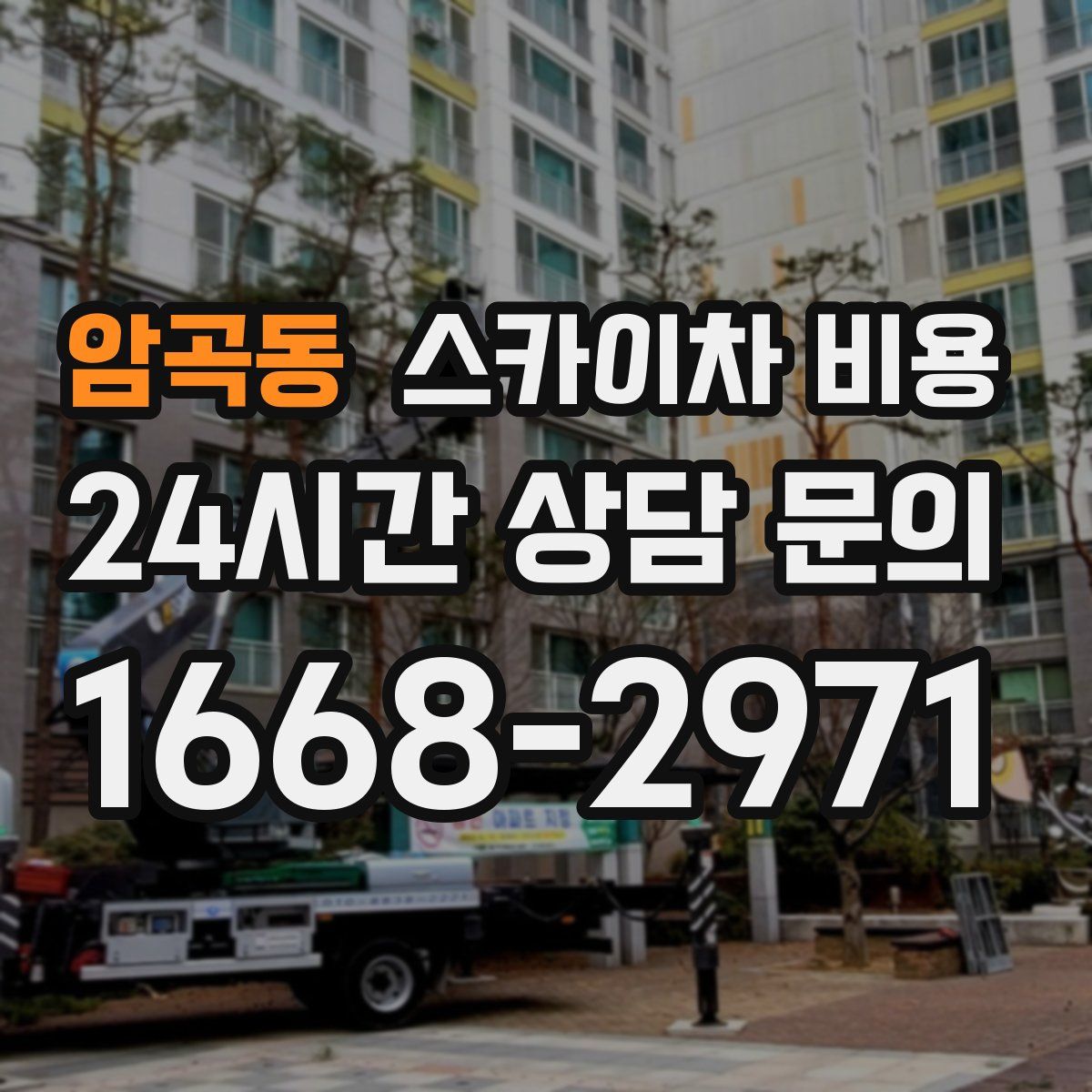 암곡동 스카이차 비용