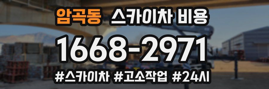 암곡동 스카이차 비용