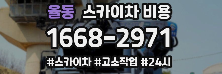 율동 스카이차 비용