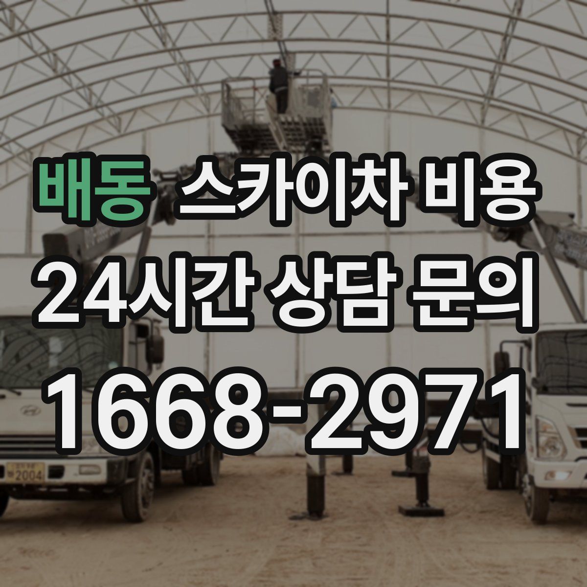 배동 스카이차 비용