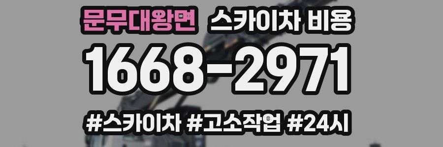 문무대왕면 스카이차 비용