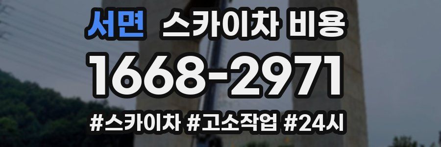 서면 스카이차 비용