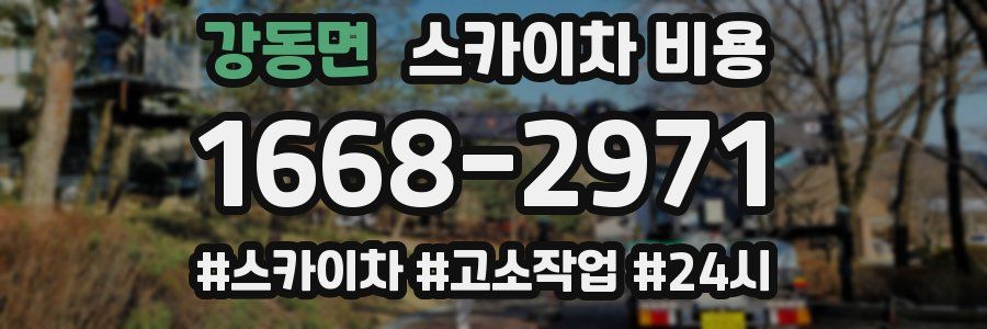 강동면 스카이차 비용