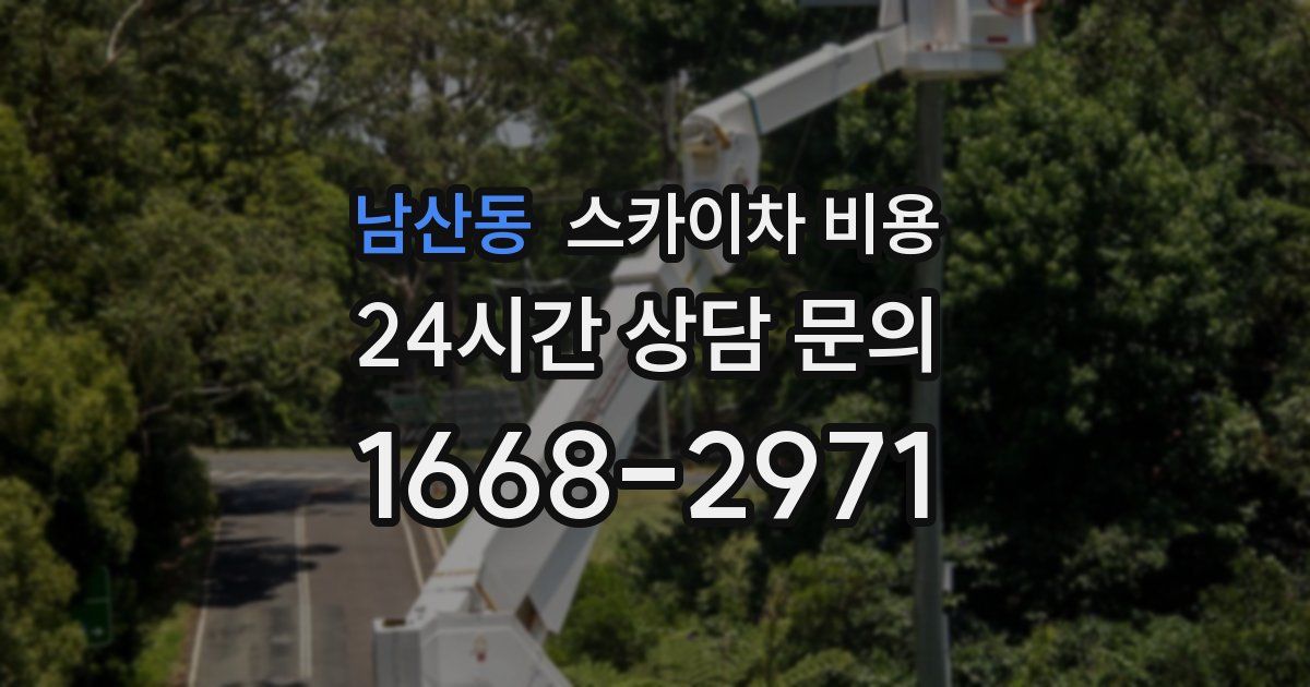 남산동 스카이차 비용